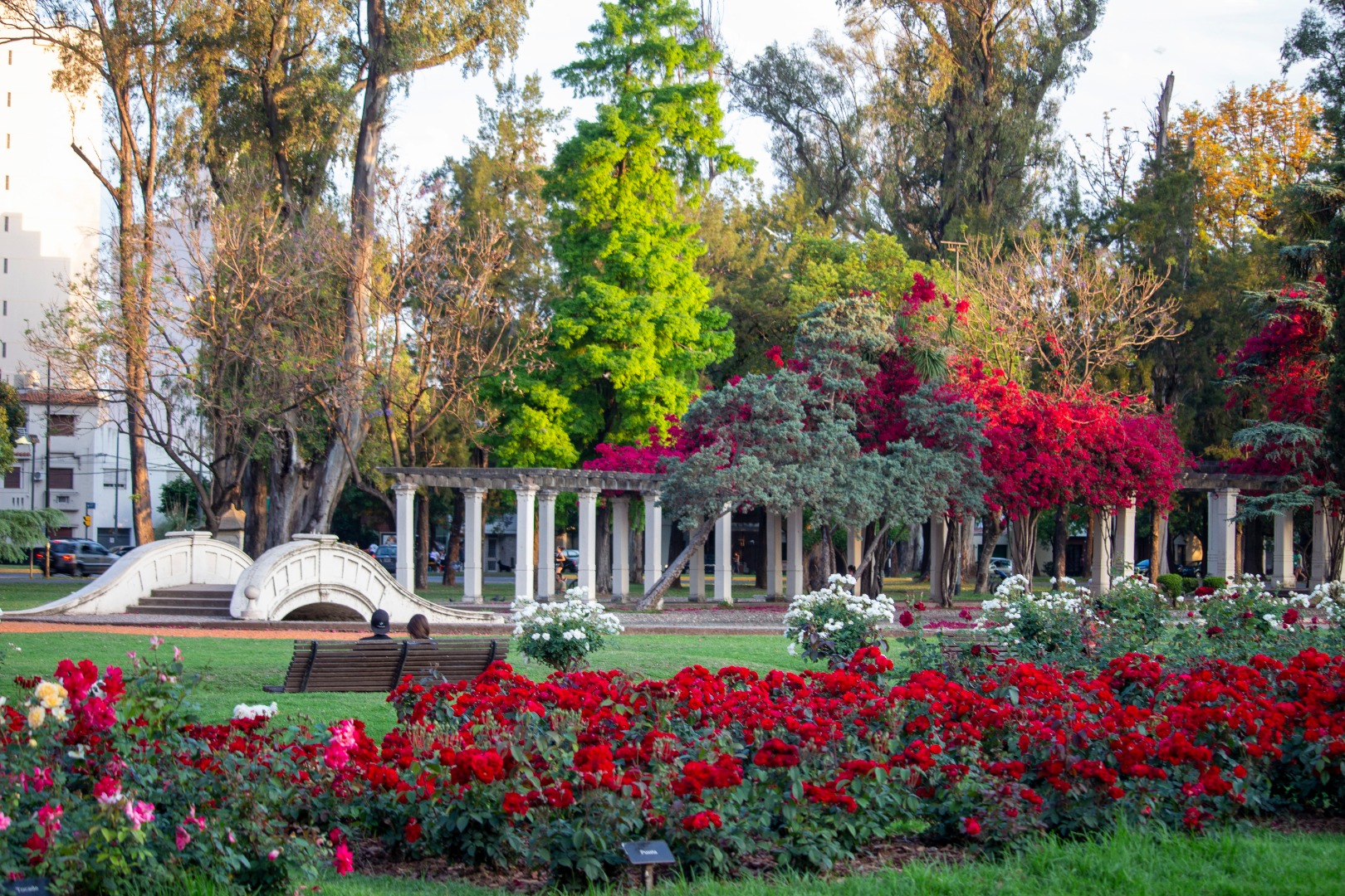 El Rosedal de Palermo 3